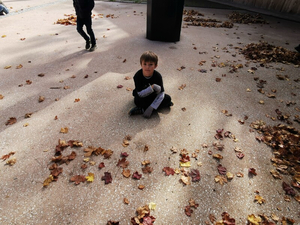 img 20221012 110507