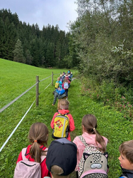 whatsapp image 2025 12 16 at 18.13.41